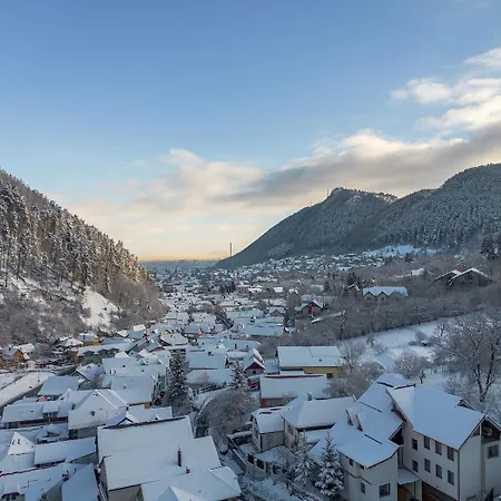 Mountain Serenity And Charming Old Town Nearby Brasov Exterior photo