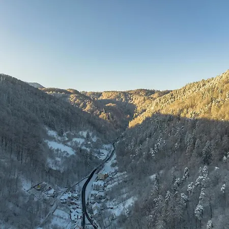 Mountain Serenity And Charming Old Town Nearby Brasov Exterior photo