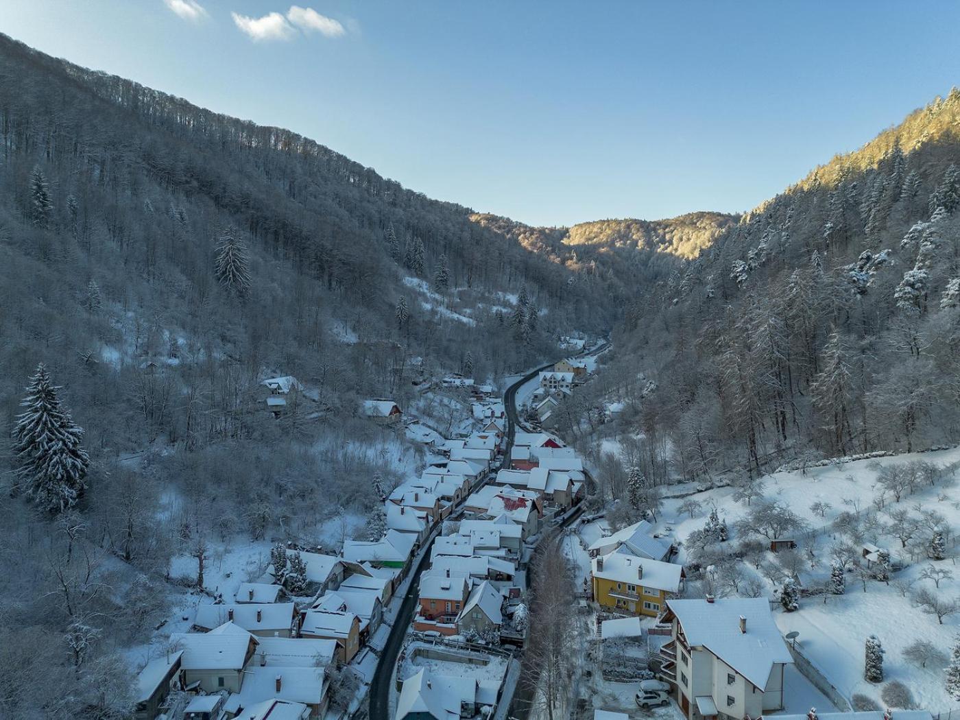 Apartment Mountain Serenity And Charming Old Town Nearby Brasov